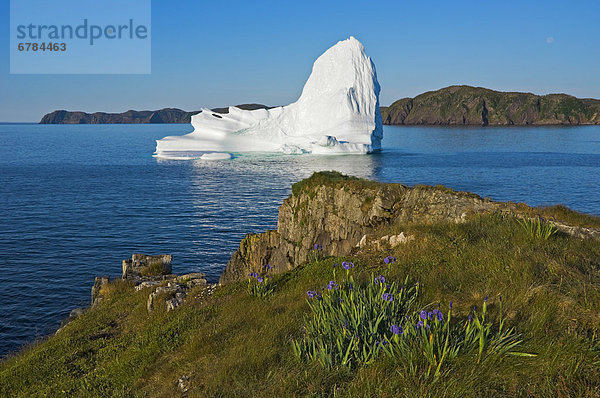 Eisberg  Felsen  Küste  fließen  Cape Bonavista  Bucht  Halbinsel