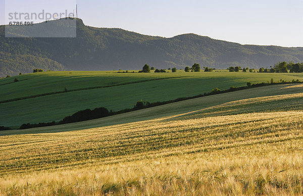 Alternative  Feld  Künstler  Quebec