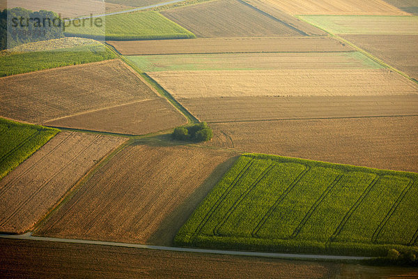 Felder und Weg am Abend  Luftbild