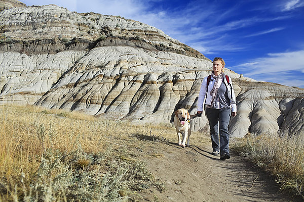 Frau  gelb  wandern  Steppe  Labrador  Retriever  Alberta  Kanada  Drumheller