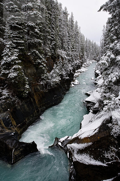 Kootenay Nationalpark  British Columbia  Kanada