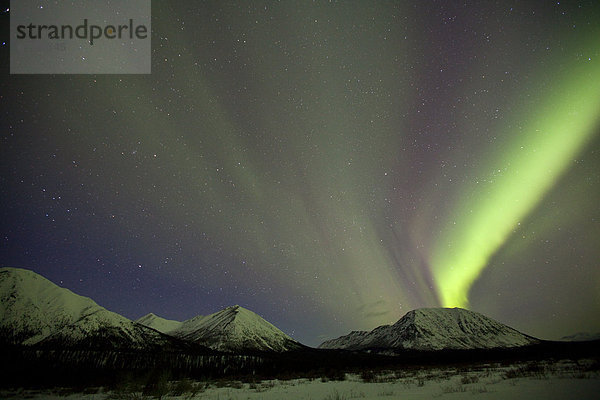 Aurora Borealis (Northern Lights) im Yukon  Kanada