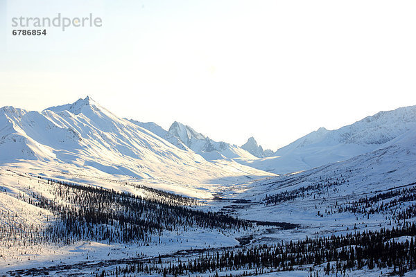 Klondike Tal Tombstone Mountain der Horizont  Tombstone Territorial Park  Yukon  Kanada