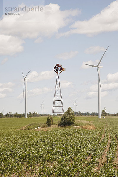 Windmühle Windpark Ontario