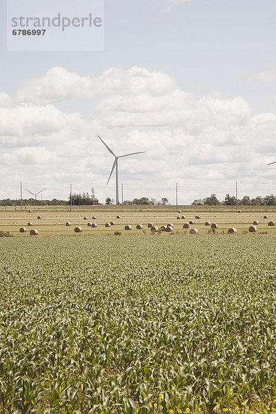 Windturbine Windrad Windräder Feld Heu Bündel Ontario