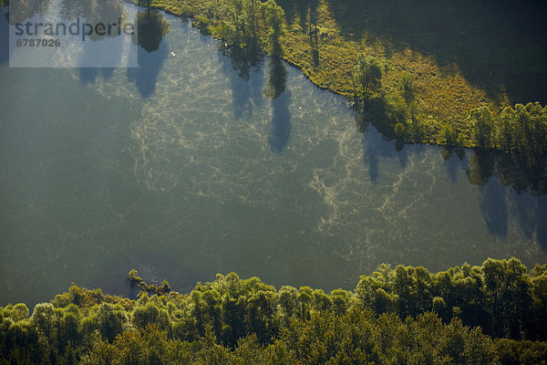 Baggersee im Morgennebel  Luftbild