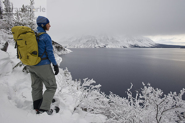 Kluane Nationalpark  Kanada  Yukon