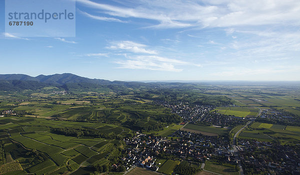 Weinberge im Markgräflerland am Schwarzwald  Baden-Württemberg  Deutschland  Luftbild