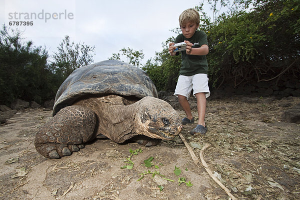 Junge - Person fotografieren jung Galapagosinseln Landschildkröte Schildkröte