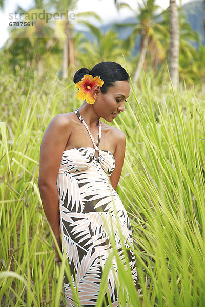 Hawaii  Oahu  lokale weibliche in Hawaii Aloha Kleidung Kleid Standing in ein Strukturfeld Kokosnuss mit hohem Gras grün