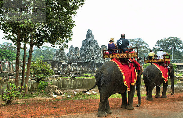 Führung  Anleitung führen  führt  führend  nehmen  Tourist  Reise  Elefant  antik  Kambodscha  Siem Reap  Südostasien