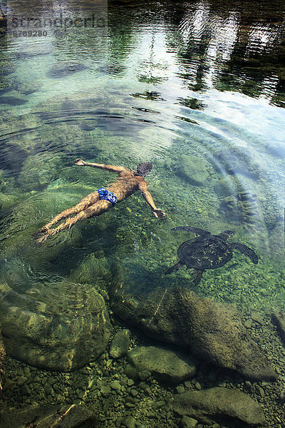 Wasserschildkröte Schildkröte Mann Ozean schwimmen Seitenansicht Erhöhte Ansicht Aufsicht hawaiianisch Riff