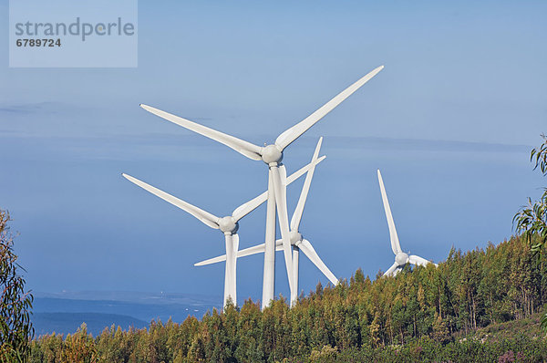 Windturbine Windrad Windräder Europa Algarve Portugal