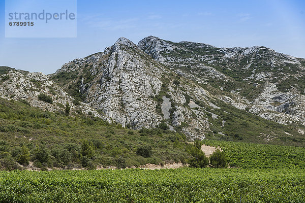 Bergkette der Alpilles mit Weinbergen  Les Baux-de-Provence  Provence-Alpes-CÙte díAzur  Frankreich  Europa  ÖffentlicherGrund