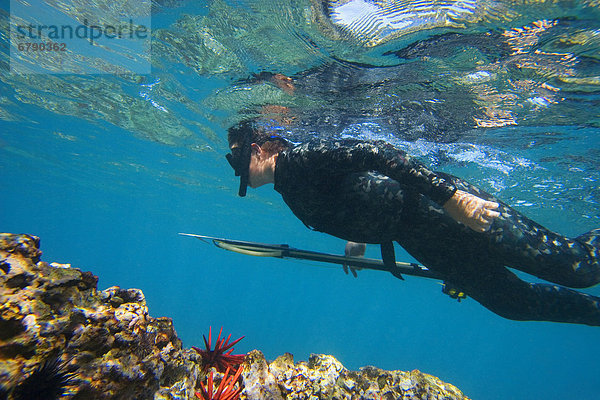 Hawaii  Maui  Makena  Spearfisher over reef  View from side.