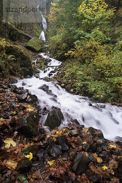 Oregon  Columbia River Gorge  Wahkeena fällt durch Wald Kaskadierung.