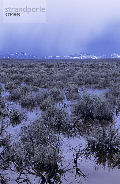 Ost-Oregon  High desert im Gewitter  durchflutet Beifuß.