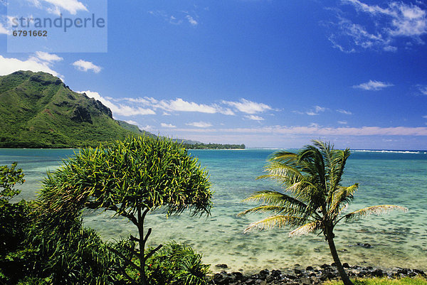 entfernt  durchsichtig  transparent  transparente  transparentes  Wasser  Berg  grün  Überfluss  Kristall  Hawaii  Oahu