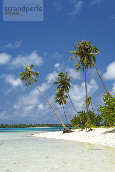 Strand  Baum  Himmel  blau  Französisch-Polynesien  Lagune  Tahiti