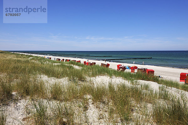Strand von Ahrenshoop mit Strandkörben  vorne Düne mit Strandhafer (Ammophila arenaria)  hinten Buhnen in der Ostsee  Ahrenshoop  Darß  Mecklenburg-Vorpommern  Deutschland  Europa