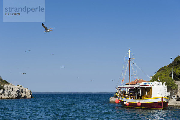Ausflugsschiff und Möwen im Hafen von Veli Losinj  Insel Losinj  Adria  Kvarner-Bucht  Kroatien  Europa