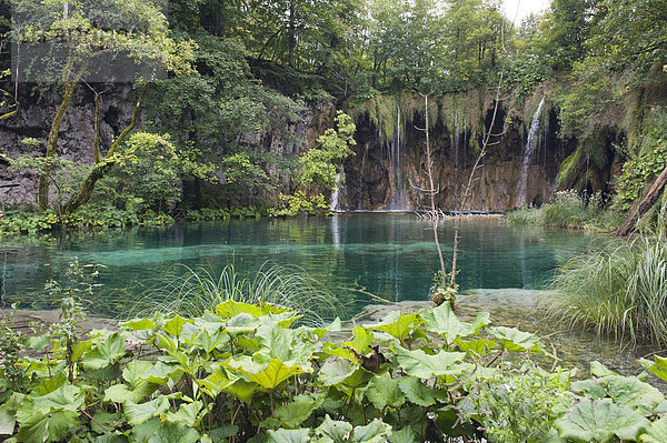 Wasserfall im Nationalpark Plitvicer Seen  Unesco Weltnaturerbe  Plitvicka Jezera  Lika-Senj  Kroatien  Europa