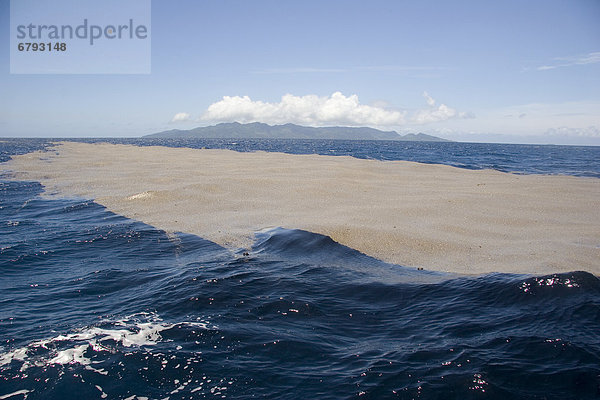 Fidschi  Beqa Lagune  / nAugust 2006 brachte schaumig Vulkangestein  Bimsstein  schwimmt auf der auf dem Wasser.
