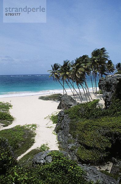 Tropisch  Tropen  subtropisch  Strand  Landschaft  weiß  Sand  Karibik  Barbados  Bottom Bay