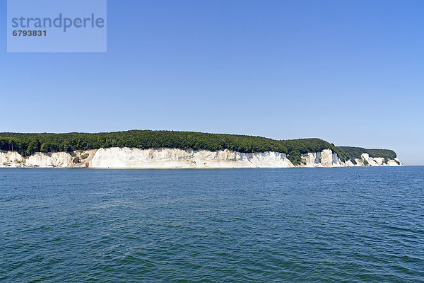 Kreideküste bei Sassnitz  Rügen  Mecklenburg-Vorpommern  Deutschland  Europa