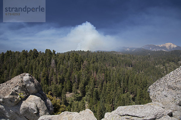 Rauch eines vorgeschriebenen Feuers im Sequoia National Park  Kalifornien  USA