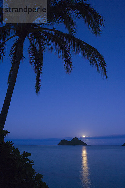 Hintergrund  Insel  Mondschein  Hawaii  Oahu