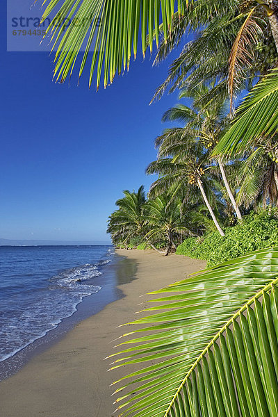 leer  Strand  klein  Hawaii  Molokai