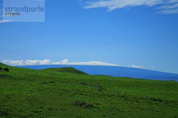 Hawaii  Big Island  North Kohala  Ansicht von Mauna Kea aus grünen Hügel.