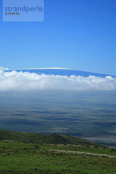 Hawaii  Big Island  North Kohala  Ansicht von Mauna Kea aus grünen Hügel.