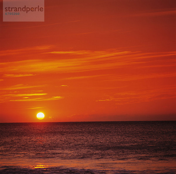 Orange sunset over ocean water  sunball on horizon.
