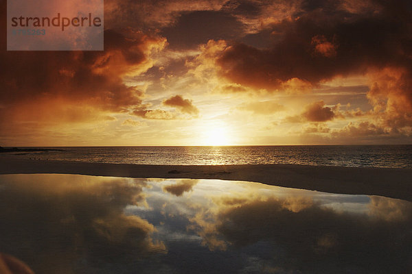 Strand  Sonnenuntergang  Himmel  Ozean  Spiegelung  Hawaii  North Shore  Oahu