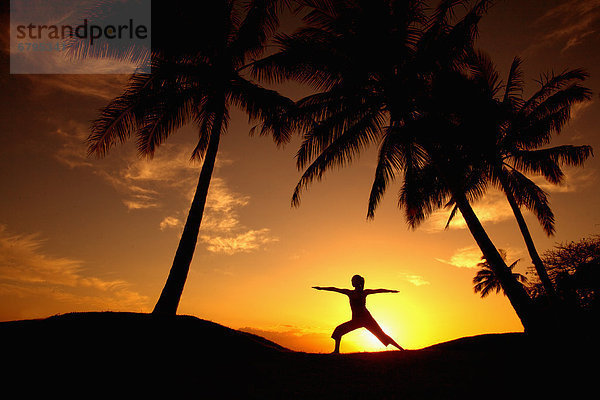 Frau  Sonnenuntergang  Baum  unterhalb  Yoga  Palme  Hawaii  Maui