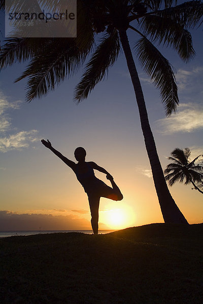 Frau  Sonnenuntergang  Baum  unterhalb  Yoga  Hawaii  Maui
