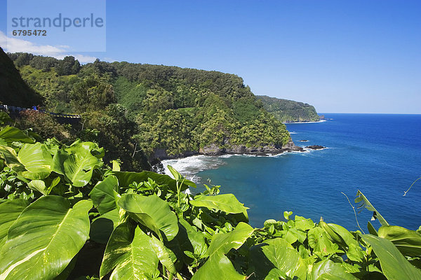 Fernverkehrsstraße  Ansicht  vorwärts  Hana  Hawaii  Maui