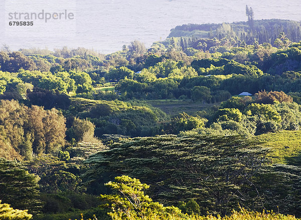 Hawaii  Big Island  Hawaii