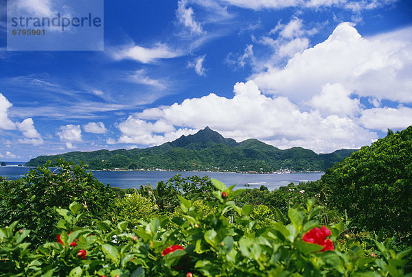 American Samoa  Pago Pago Harbor  greenery and flowers  clouds in sky