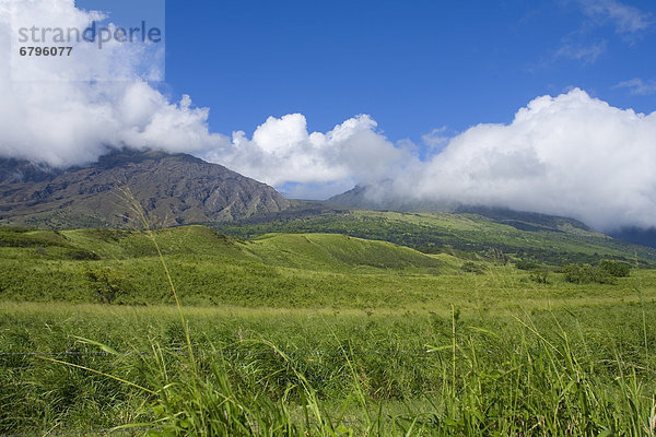 Haleakala  East Maui Volcano  Tag  Wärme  Ruhe  grün  Hawaii  Maui