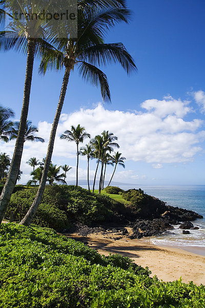 Hawaii  Maui  Wailea