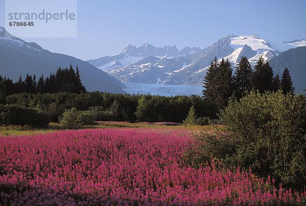 Alaska  Juneau  Tongass National Forest