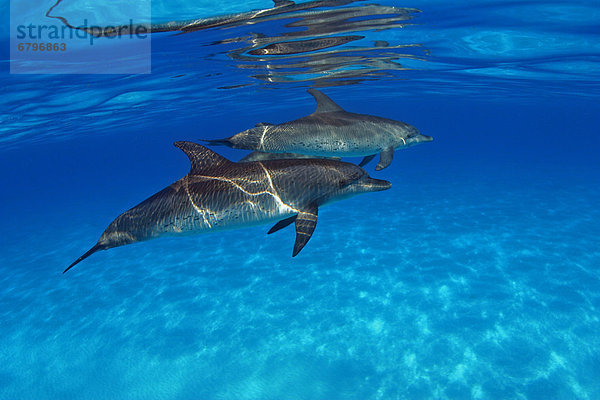 Karibik Bahamas