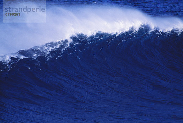 Deep blue wave cresting  white spray.