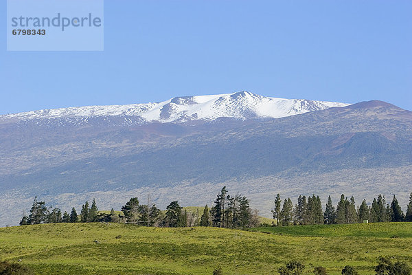 Hawaii  Big Island  bedecken  Fernverkehrsstraße  Ansicht  Reitsattel  Sattel  Hawaii  Schnee