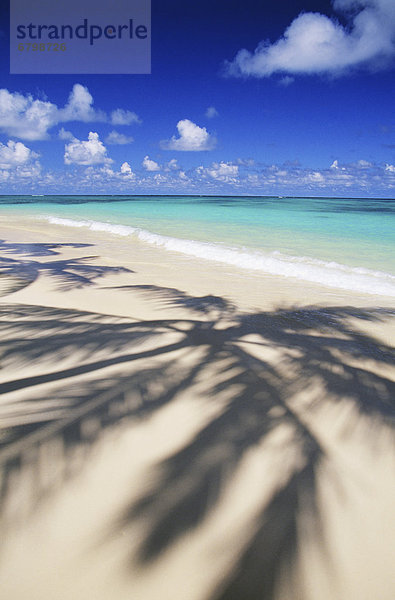 Tropisch  Tropen  subtropisch  Küste  Schatten  Sand