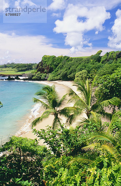 durchsichtig  transparent  transparente  transparentes  Schönheit  Tag  Strand  Hawaii  Maui