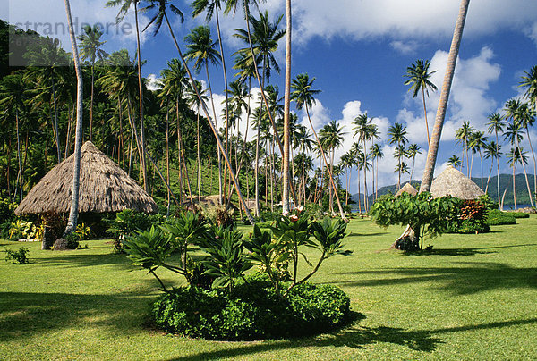 Palme  Fiji